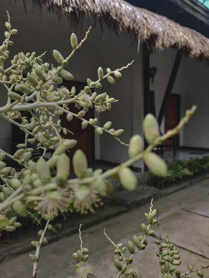 Mimi Kuta Homestay Exterior foto